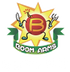 Boomarms